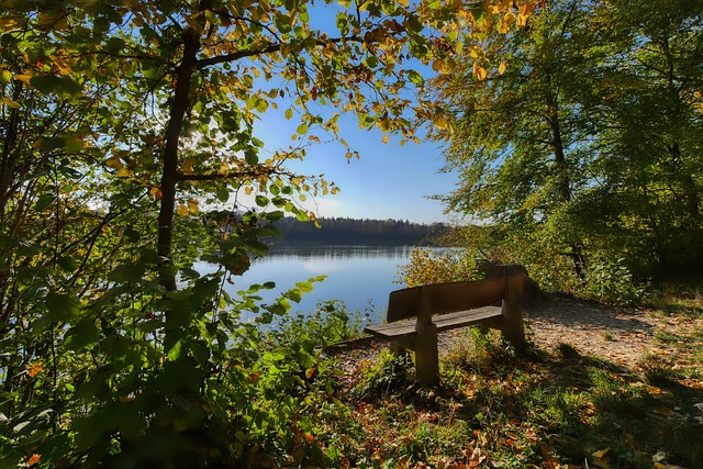 战略的灵活 战略的灵活