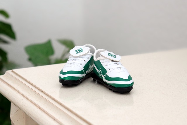 星的摇篮 星的摇篮