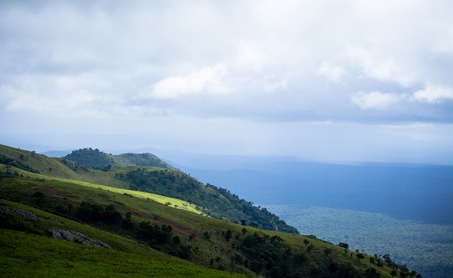 中的每一个 中的每一个