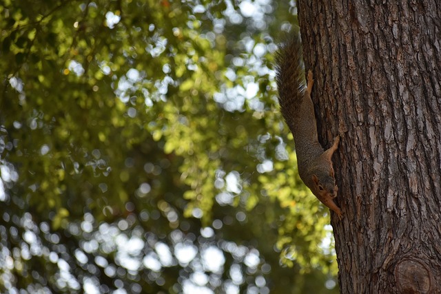 广提供了灵 广提供了灵