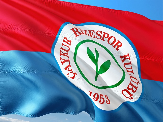 勇士的老将 勇士的老将