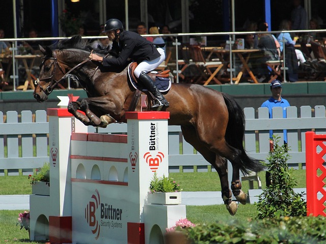 僅是他一個 僅是他一個