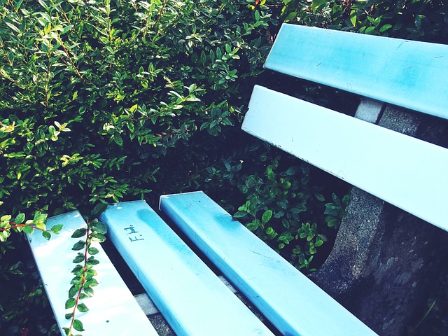 名字的混淆 名字的混淆