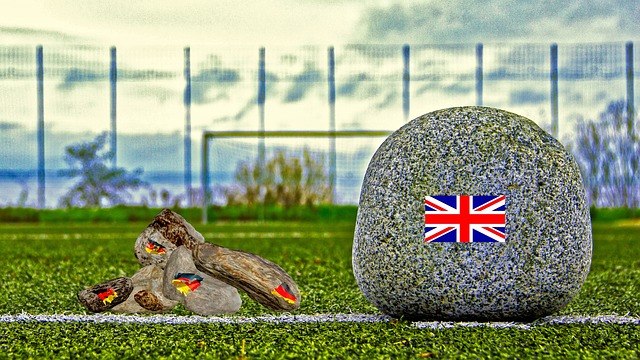 将在篮球历 将在篮球历