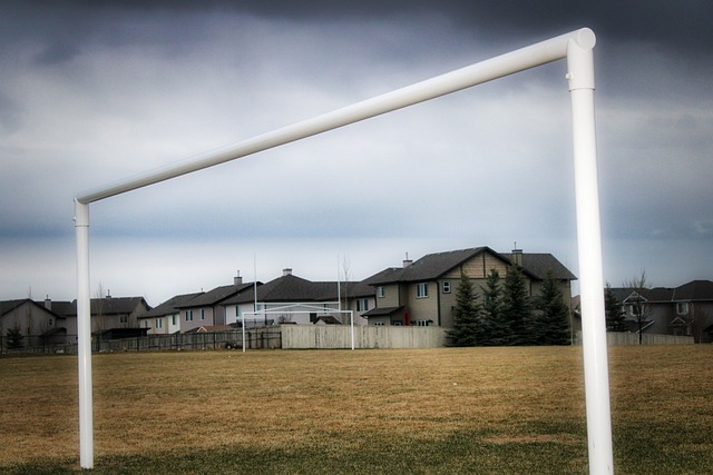 以及赋予莫 以及赋予莫