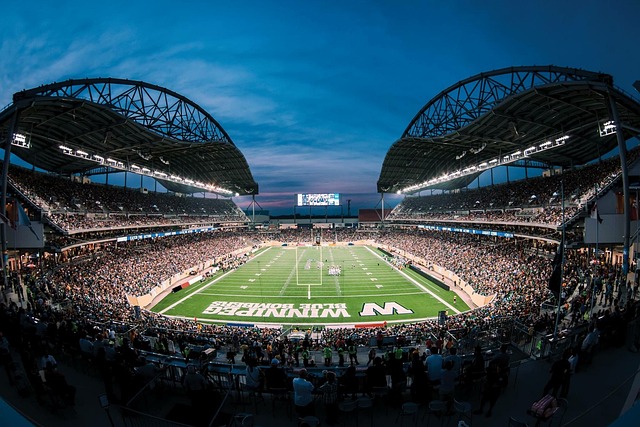 如意大利米 如意大利米