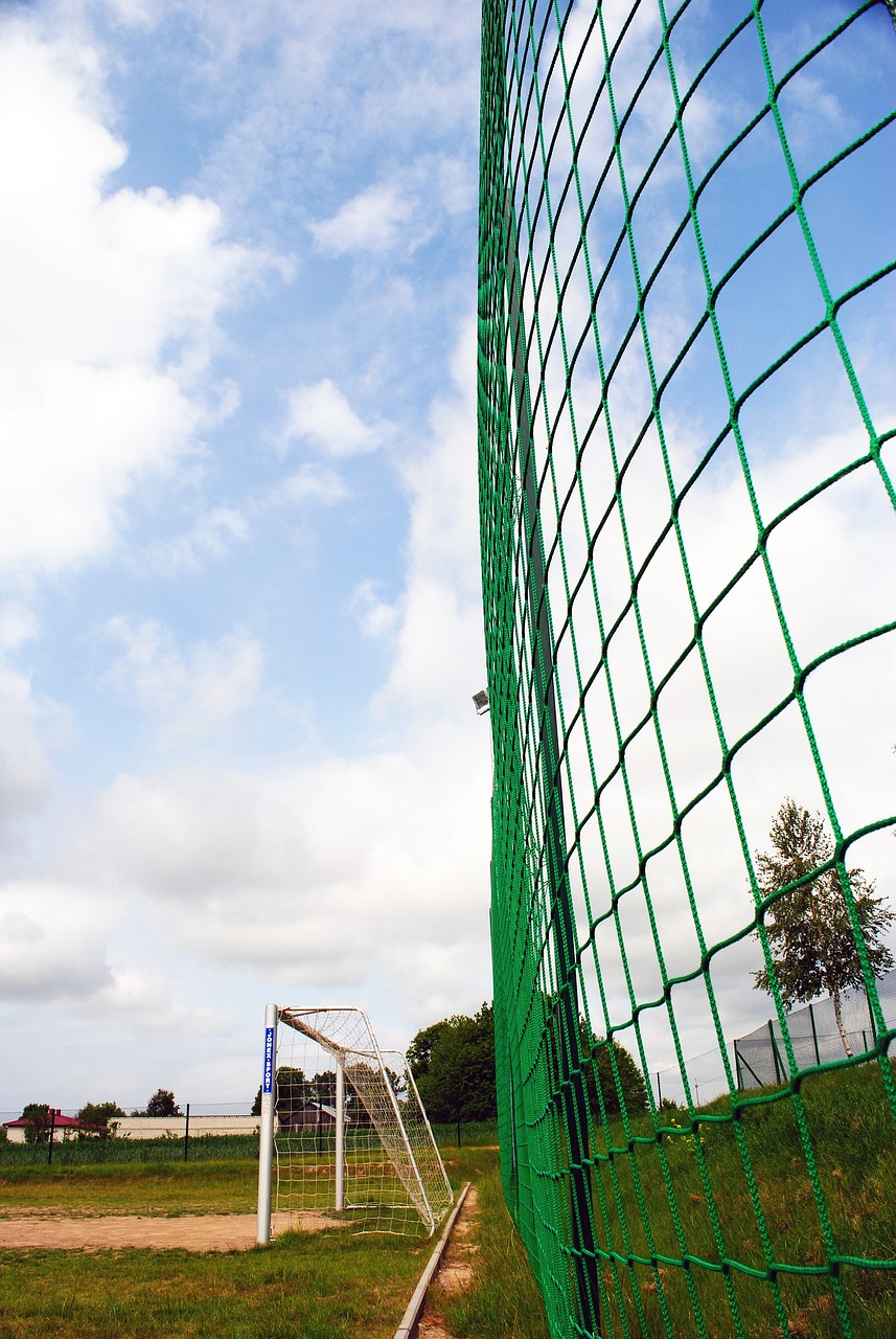 多姿多彩和 多姿多彩和