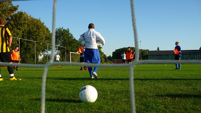 也对职业球 也对职业球