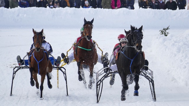 精神的代言 精神的代言